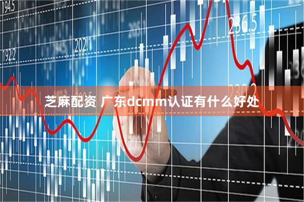 芝麻配资 广东dcmm认证有什么好处