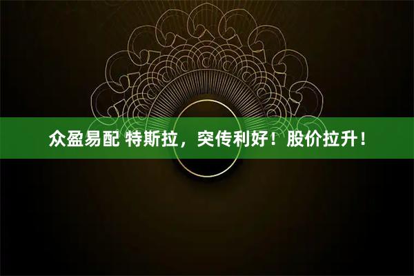 众盈易配 特斯拉，突传利好！股价拉升！
