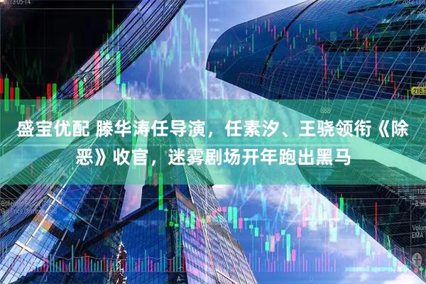 盛宝优配 滕华涛任导演，任素汐、王骁领衔《除恶》收官，迷雾剧场开年跑出黑马