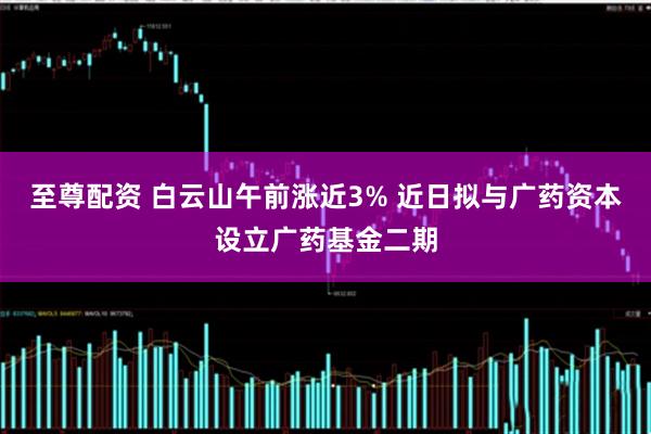 至尊配资 白云山午前涨近3% 近日拟与广药资本设立广药基金二期