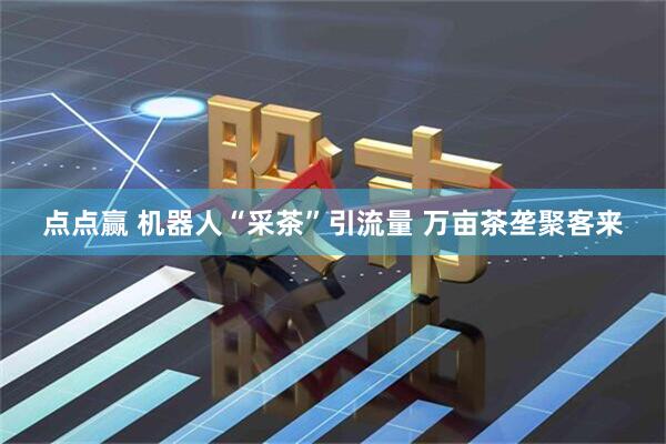 点点赢 机器人“采茶”引流量 万亩茶垄聚客来