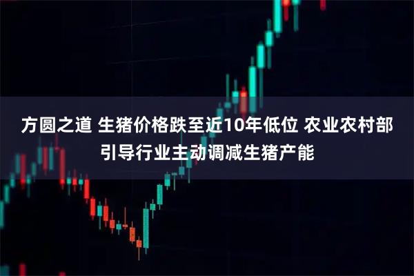 方圆之道 生猪价格跌至近10年低位 农业农村部引导行业主动调减生猪产能